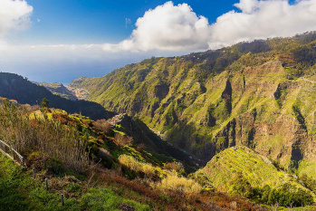 The Sagrada Família Tour (with optional picnic)