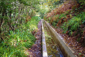 Levada Prazeres – Raposeira Walk