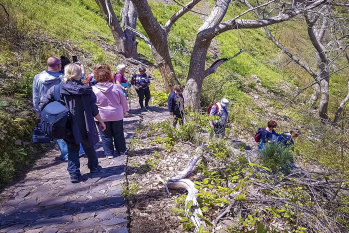 Eira do Serrado Walk