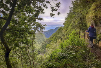 Ribeiro Frio – Portela Walk