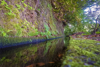 Levada da Silveira Walk
