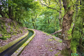 Levada Nova – Santo da Serra Walk