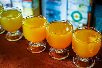 The Poncha and Nikita Tour