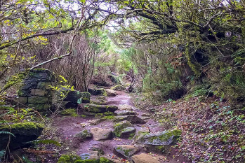 Bica da Cana – Pináculo Walk