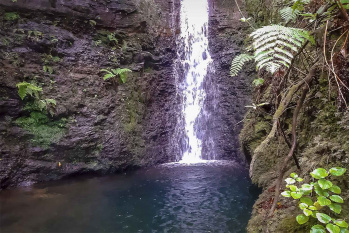 Levada do Moinho Walk
