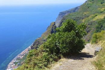 Caminho Real do Paul do Mar Walk