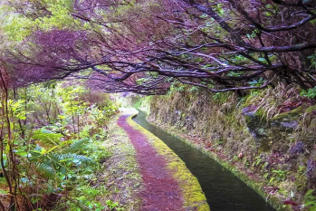 Levada da Rocha Vermelha Walk
