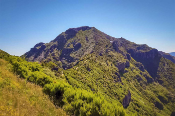 Vereda da Ilha – Pico Ruivo Walk