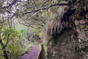 Ribeiro Frio – Chão das Feiteiras Walk