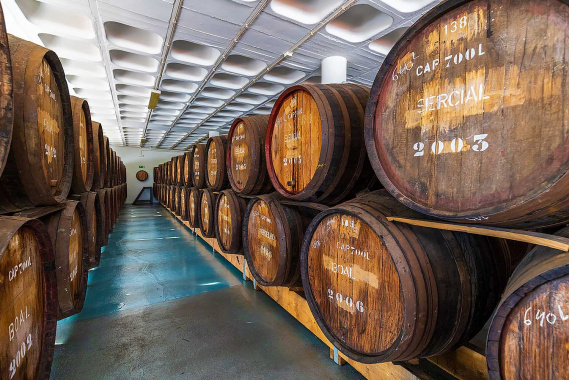 Madeira Wine Tour