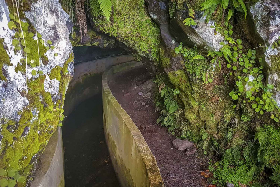 Santo da Serra – Ribeiro Frio Walk