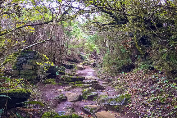 Bica da Cana – Pináculo Walk