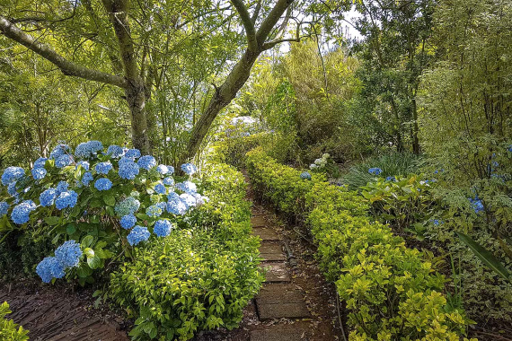 Babosas – Palheiro Ferreiro Walk