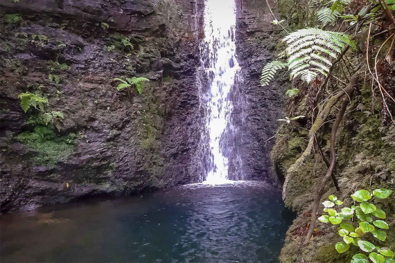 Levada do Moinho Walk
