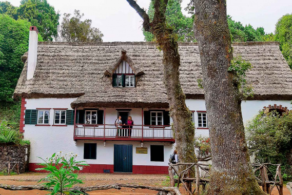 Typical Madeira Houses Tour