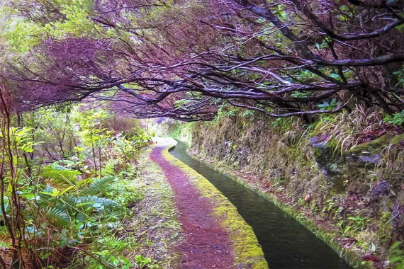Levada da Rocha Vermelha Walk