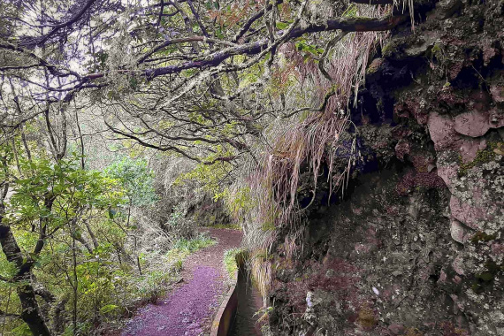 Ribeiro Frio – Chão das Feiteiras Walk