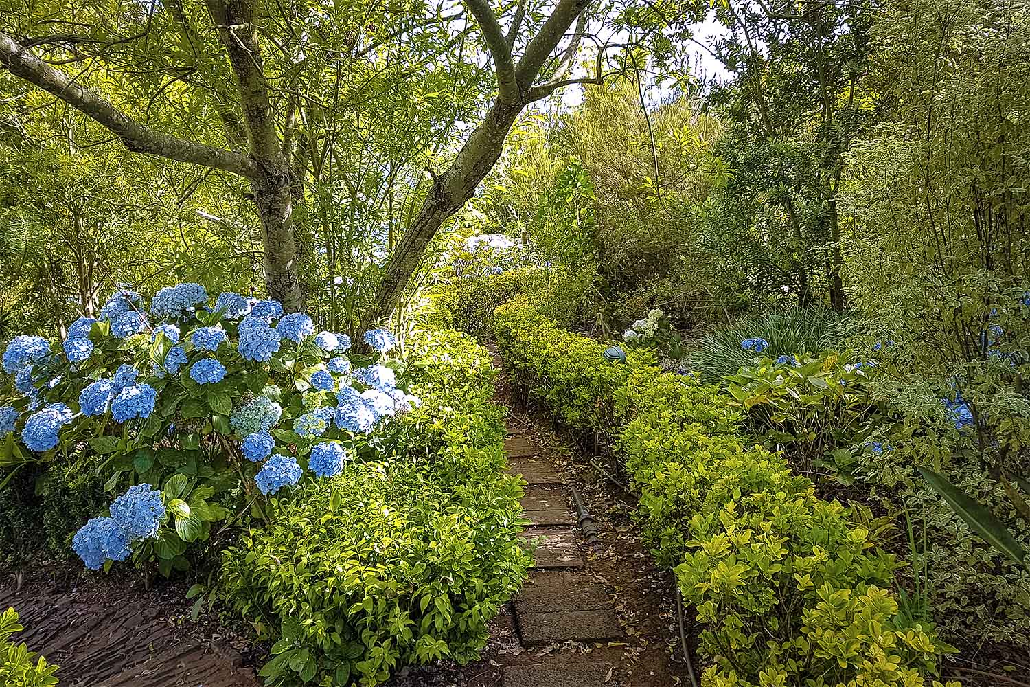 BABOSAS – PALHEIRO FERREIRO WALK