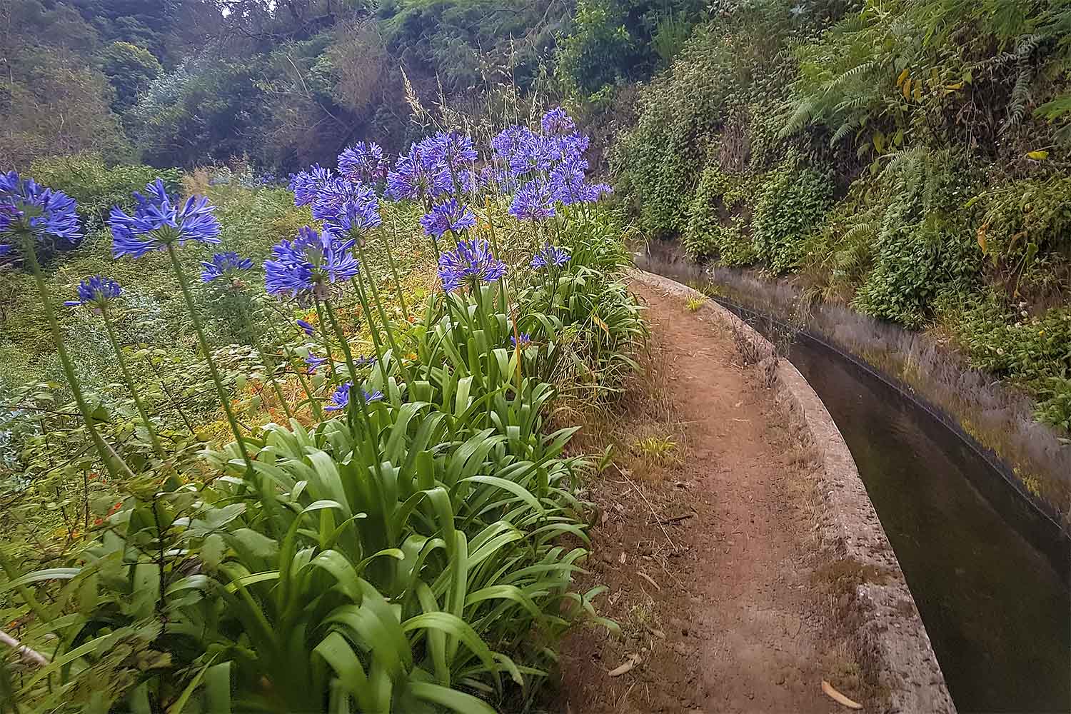 Babosas – Palheiro Ferreiro Walk