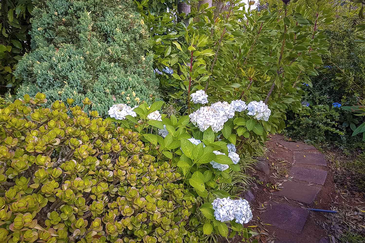 Babosas – Palheiro Ferreiro Walk