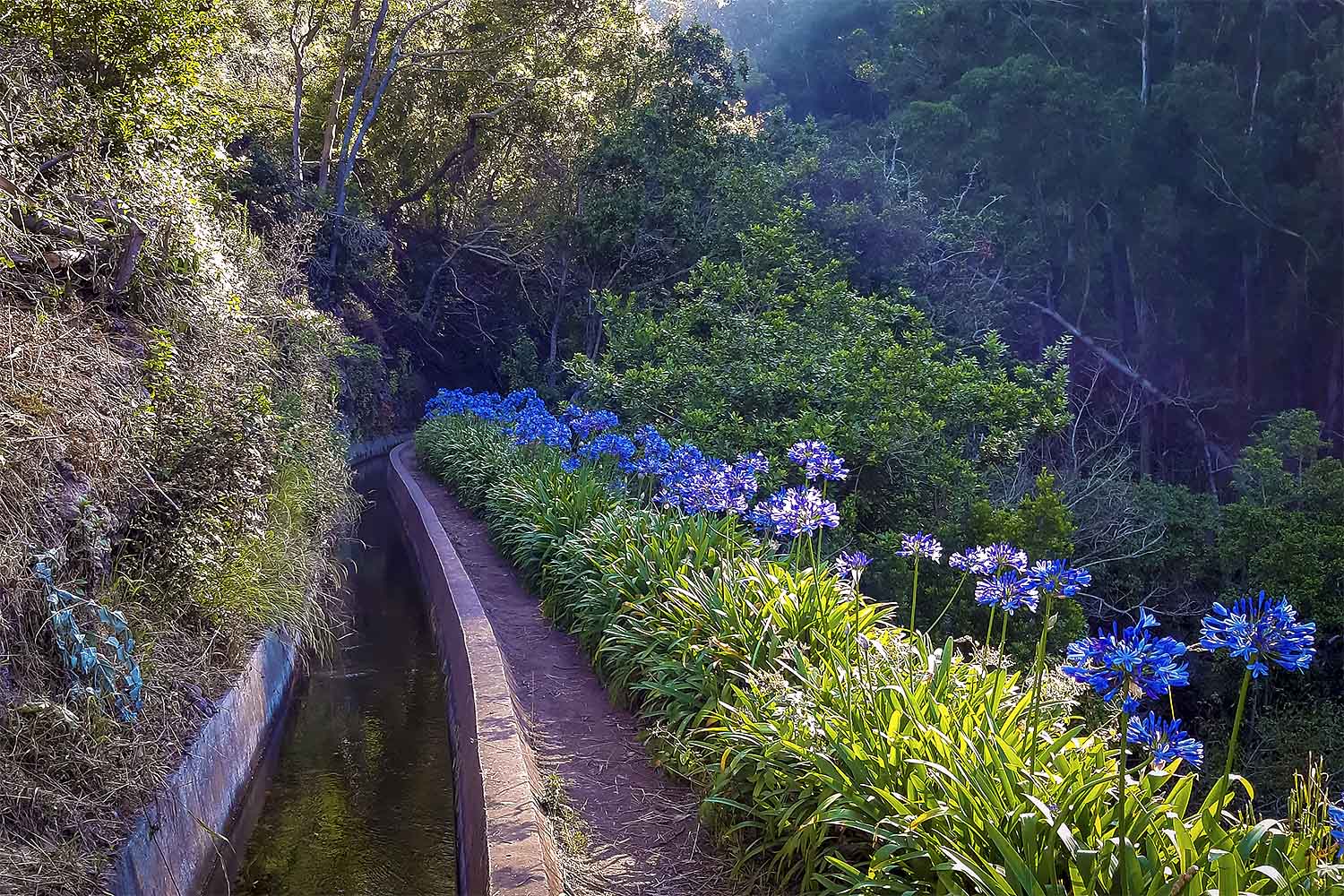 Babosas – Palheiro Ferreiro Walk