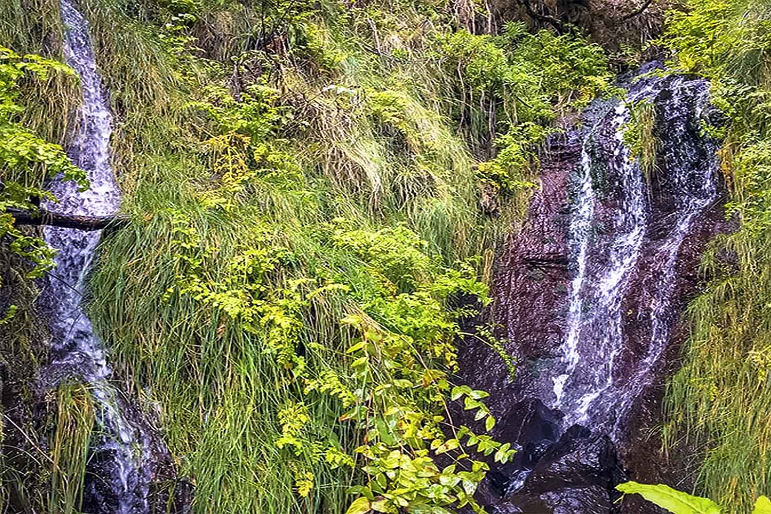 Bica da Cana – Pináculo Walk