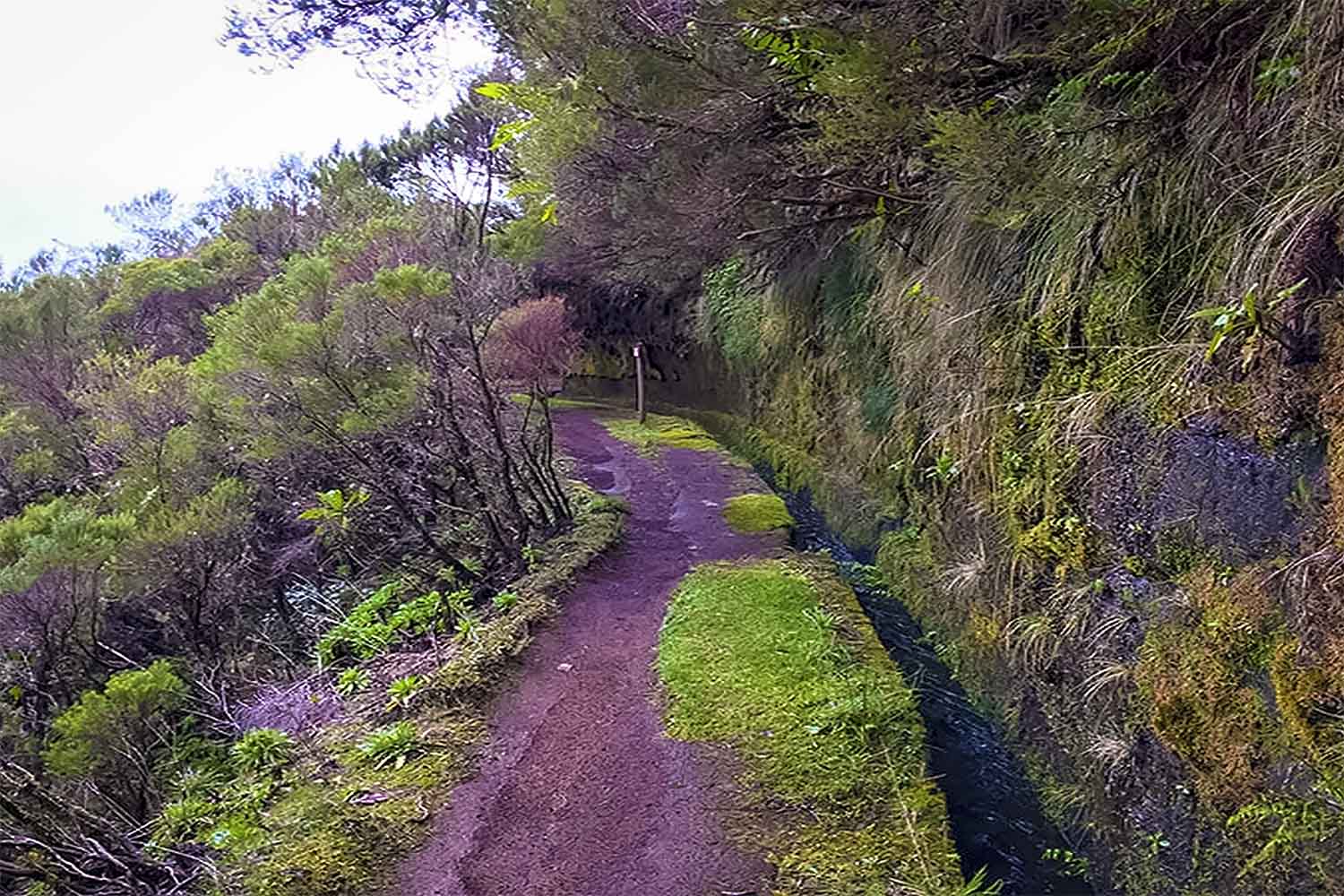 Bica da Cana – Pináculo Walk