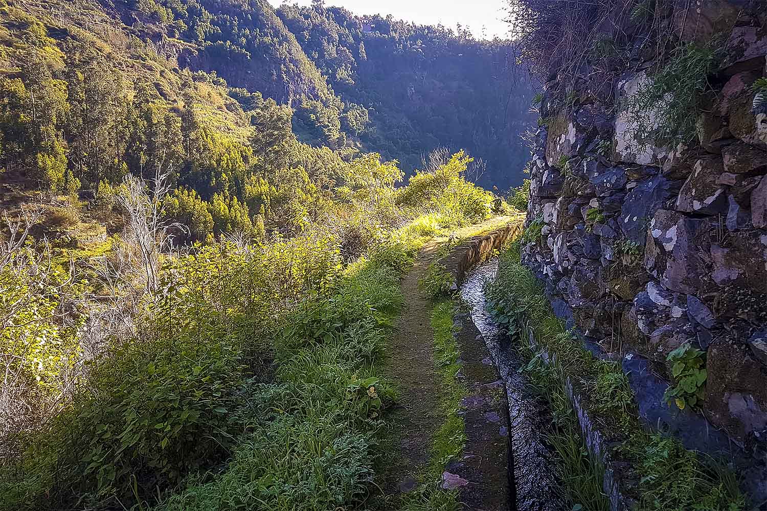 CAMACHA – LEVADA CANIÇO WALK
