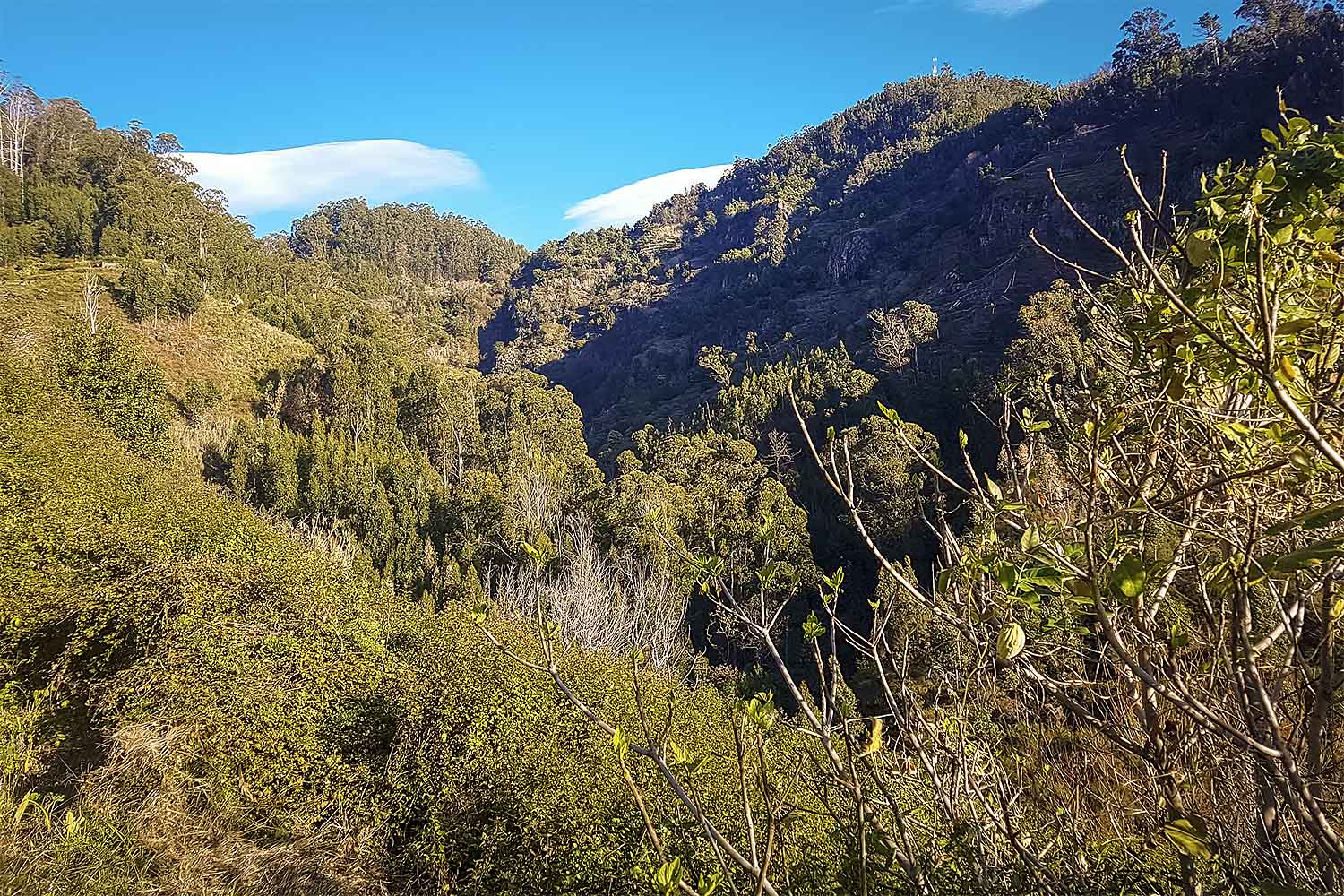 Camacha – Levada Caniço Walk