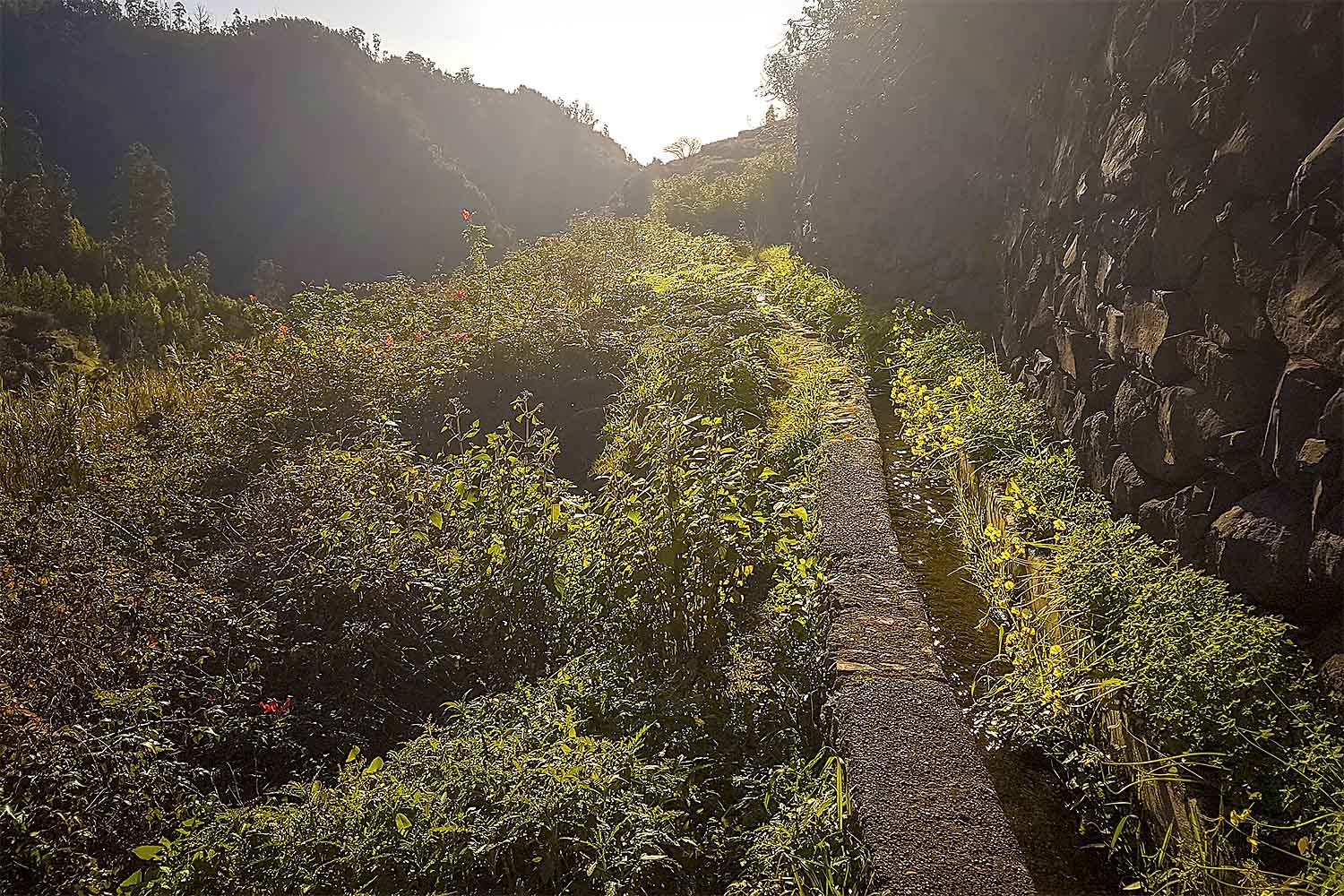 Camacha – Levada Caniço Walk