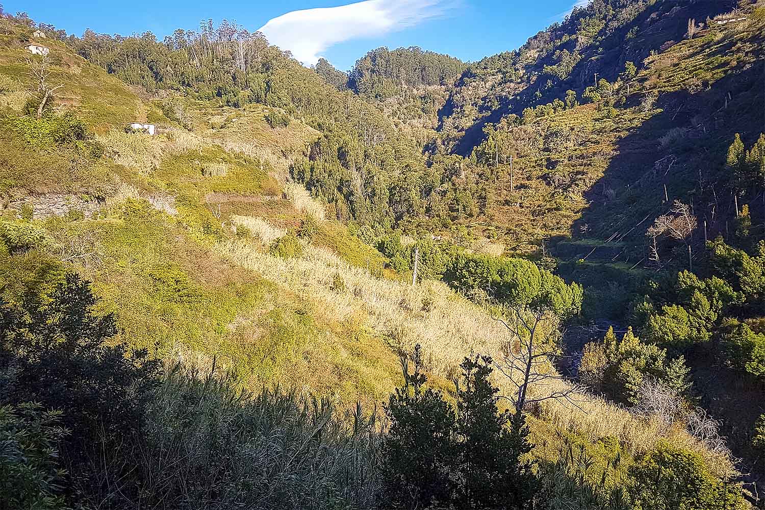 Camacha – Levada Caniço Walk