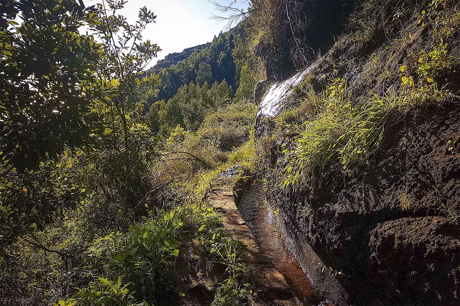 Camacha – Levada Caniço Walk