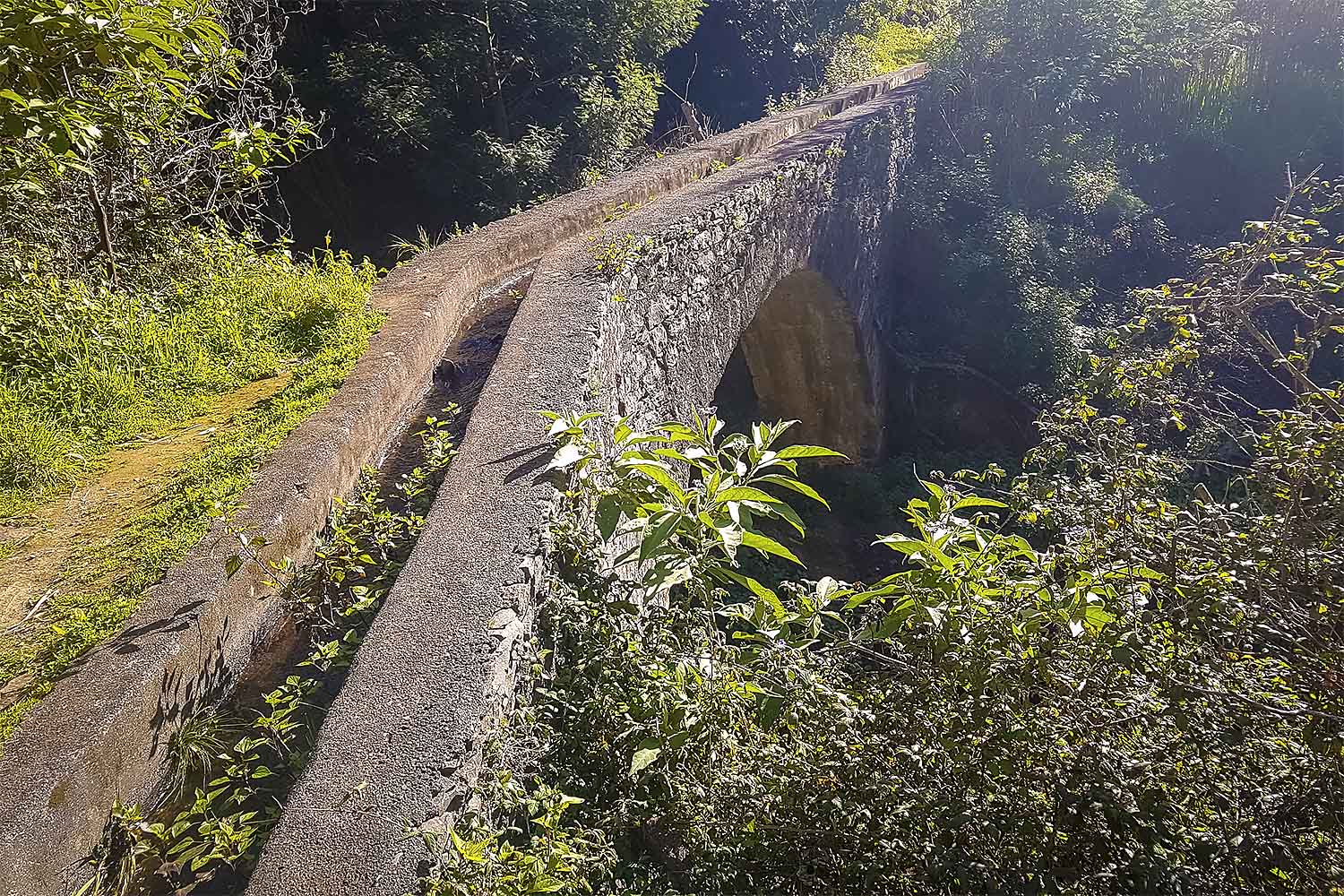 Camacha – Levada Caniço Walk