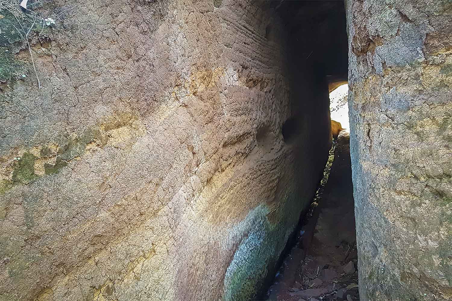 Camacha – Levada Caniço Walk