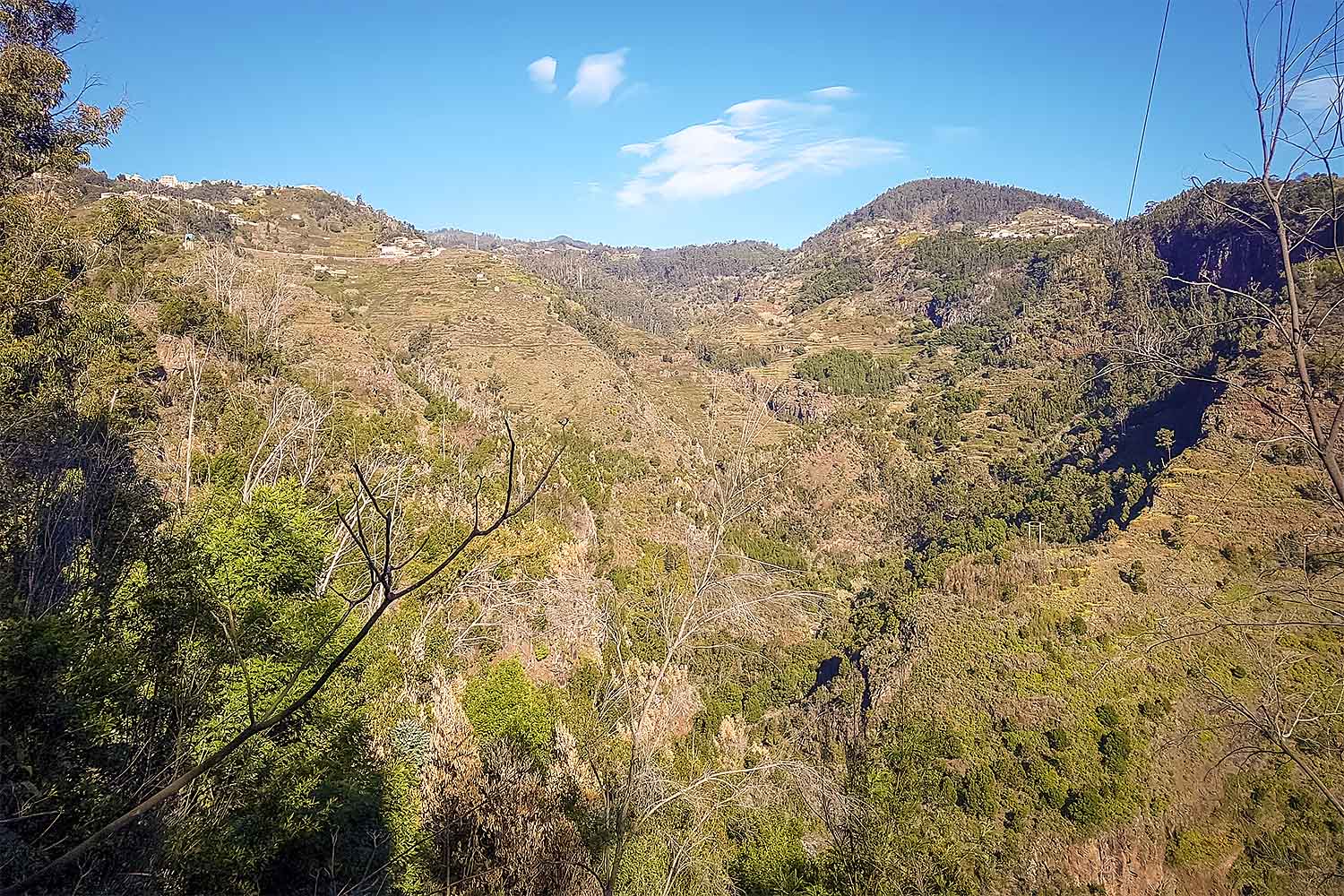 Camacha – Levada Caniço Walk