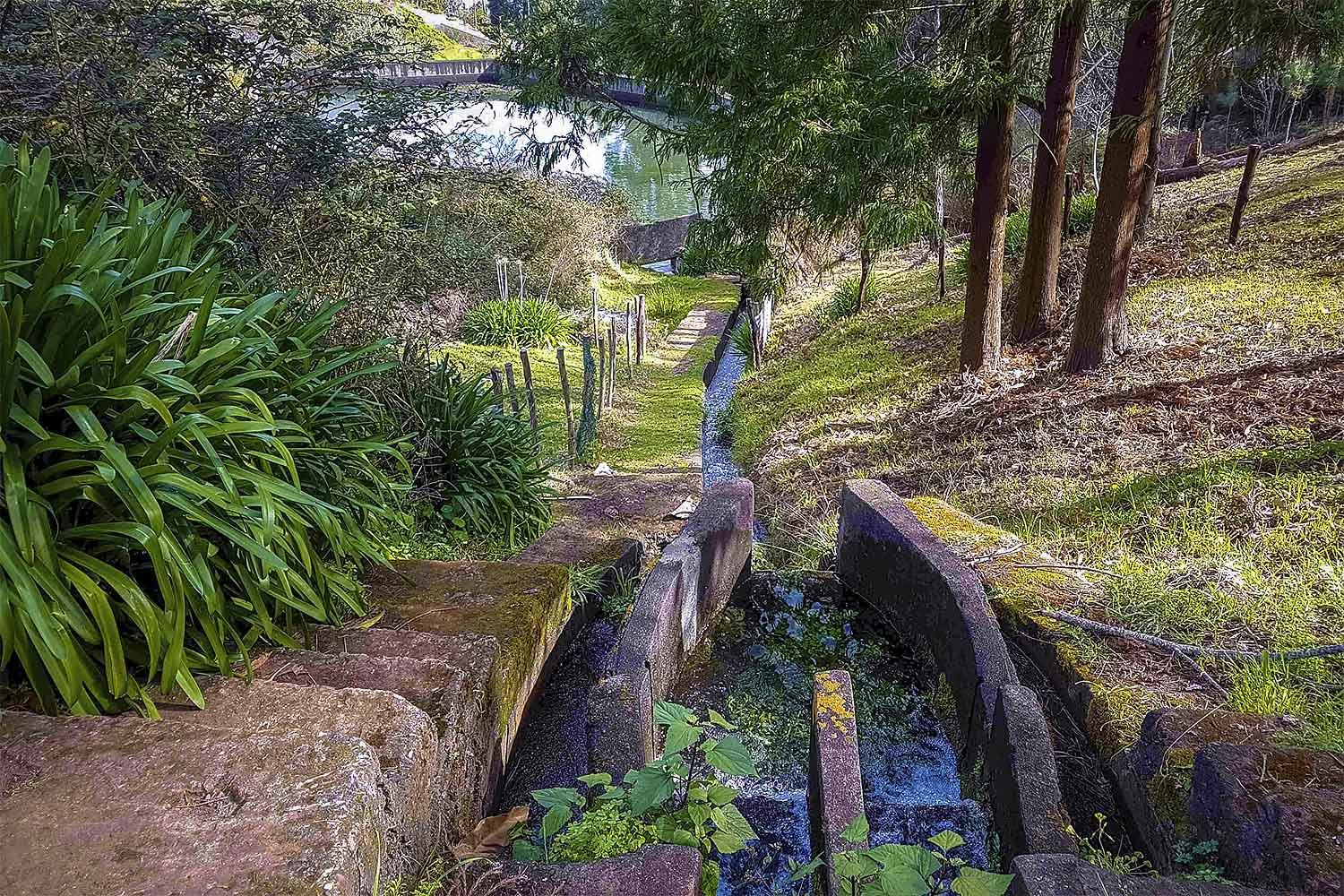 Camacha – Levada dos Tornos Walk
