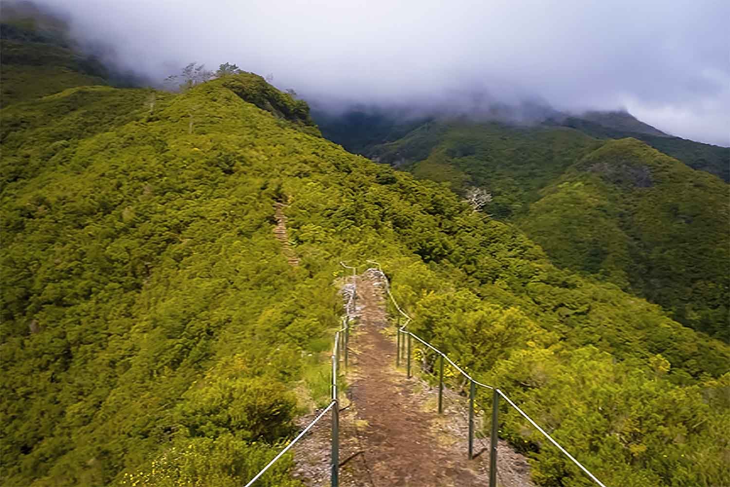 Caminho do Pináculo – Folhadal Walk