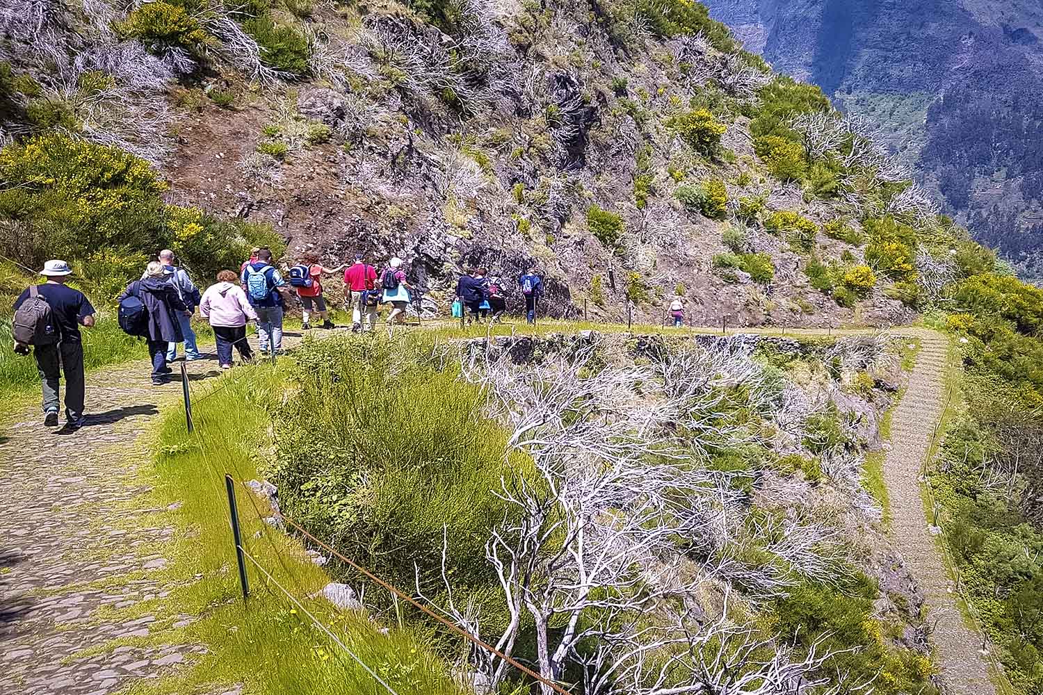 Eira do Serrado Walk