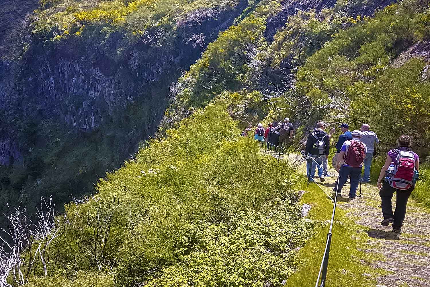 Eira do Serrado Walk