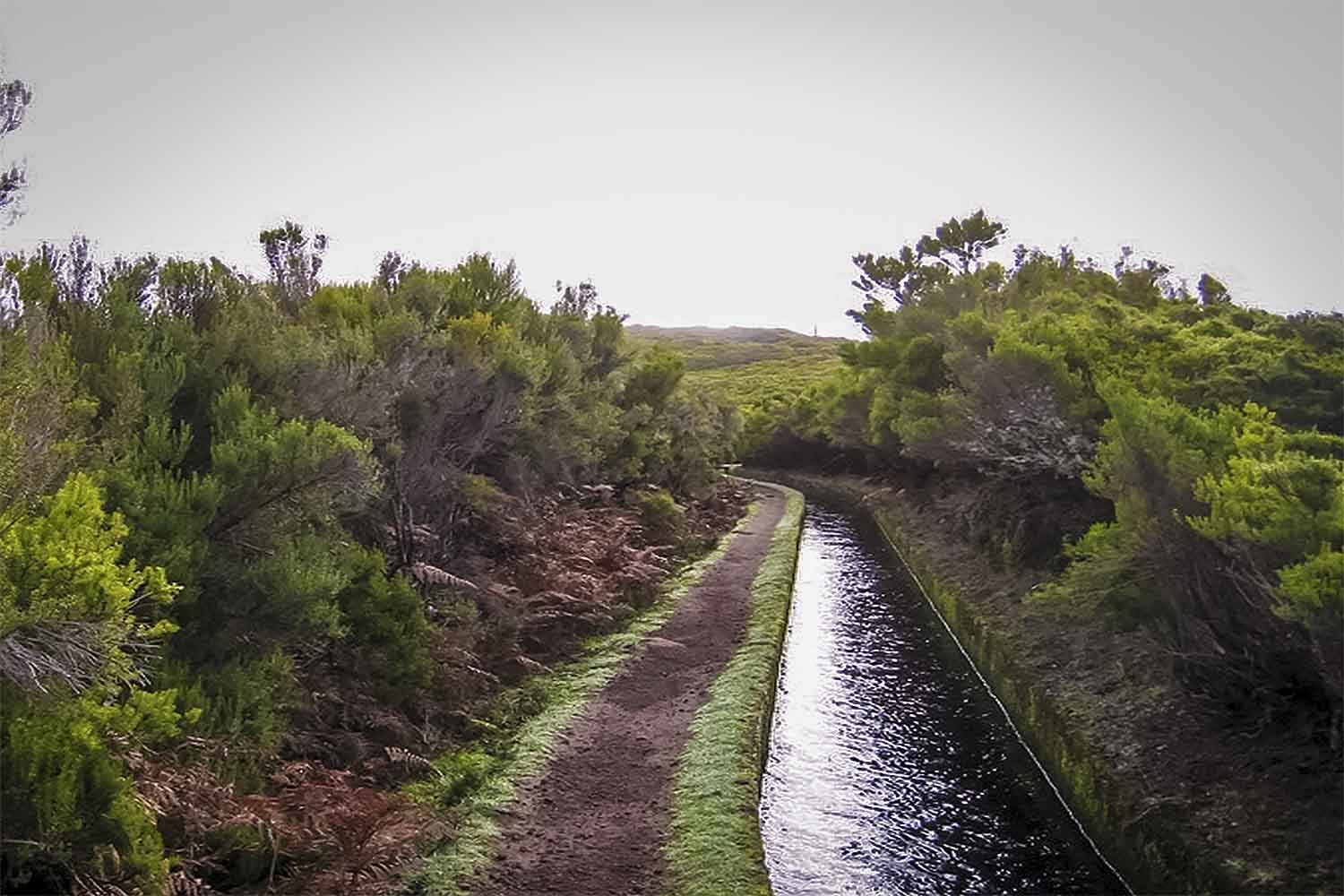 Ribeiro Frio – Portela Walk