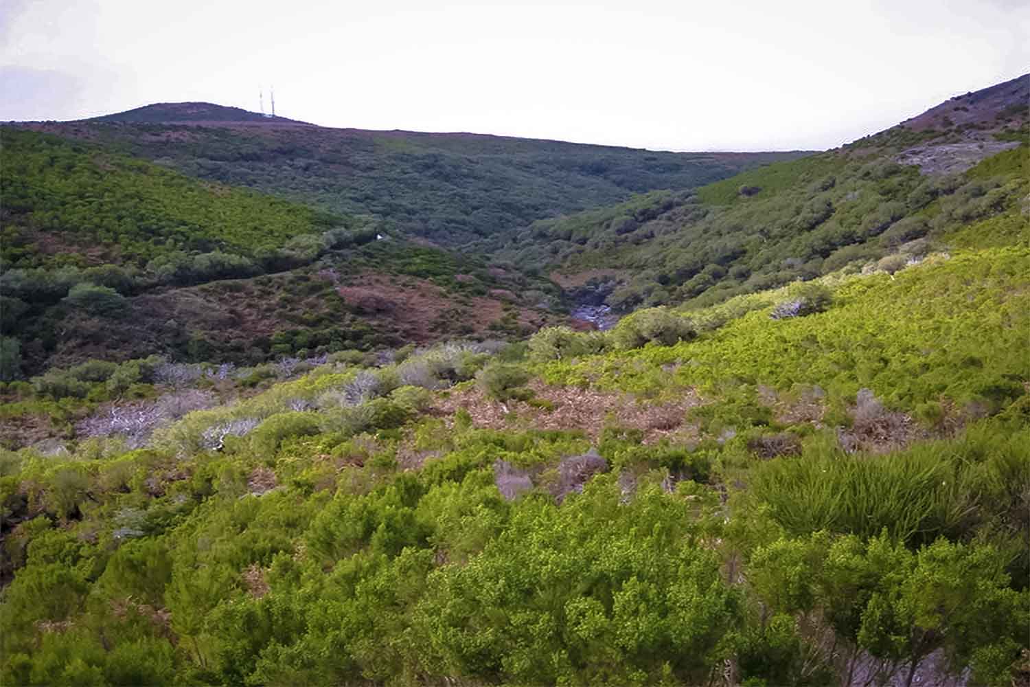 Ribeiro Frio – Portela Walk