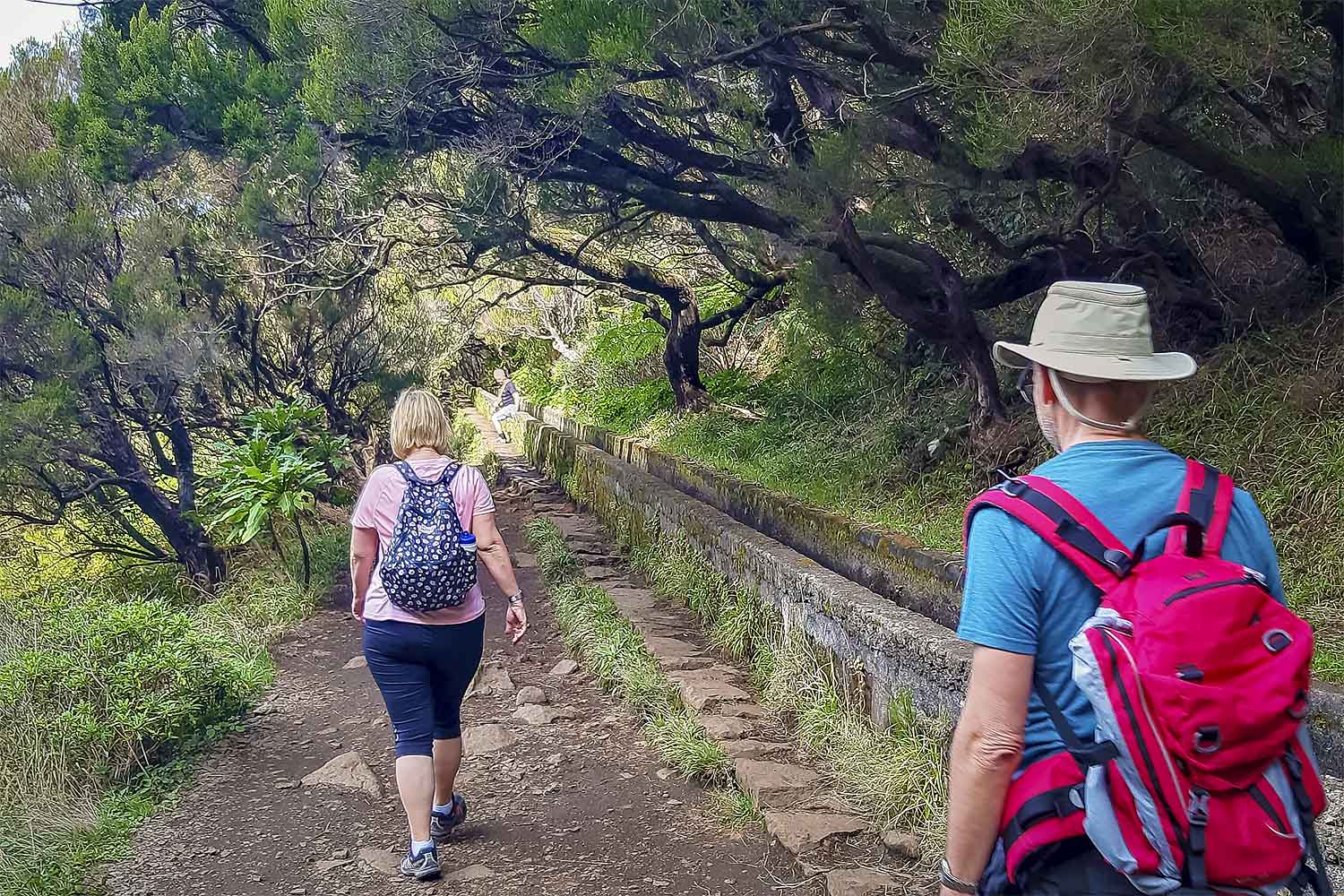 Levada 25 Fontes Walk