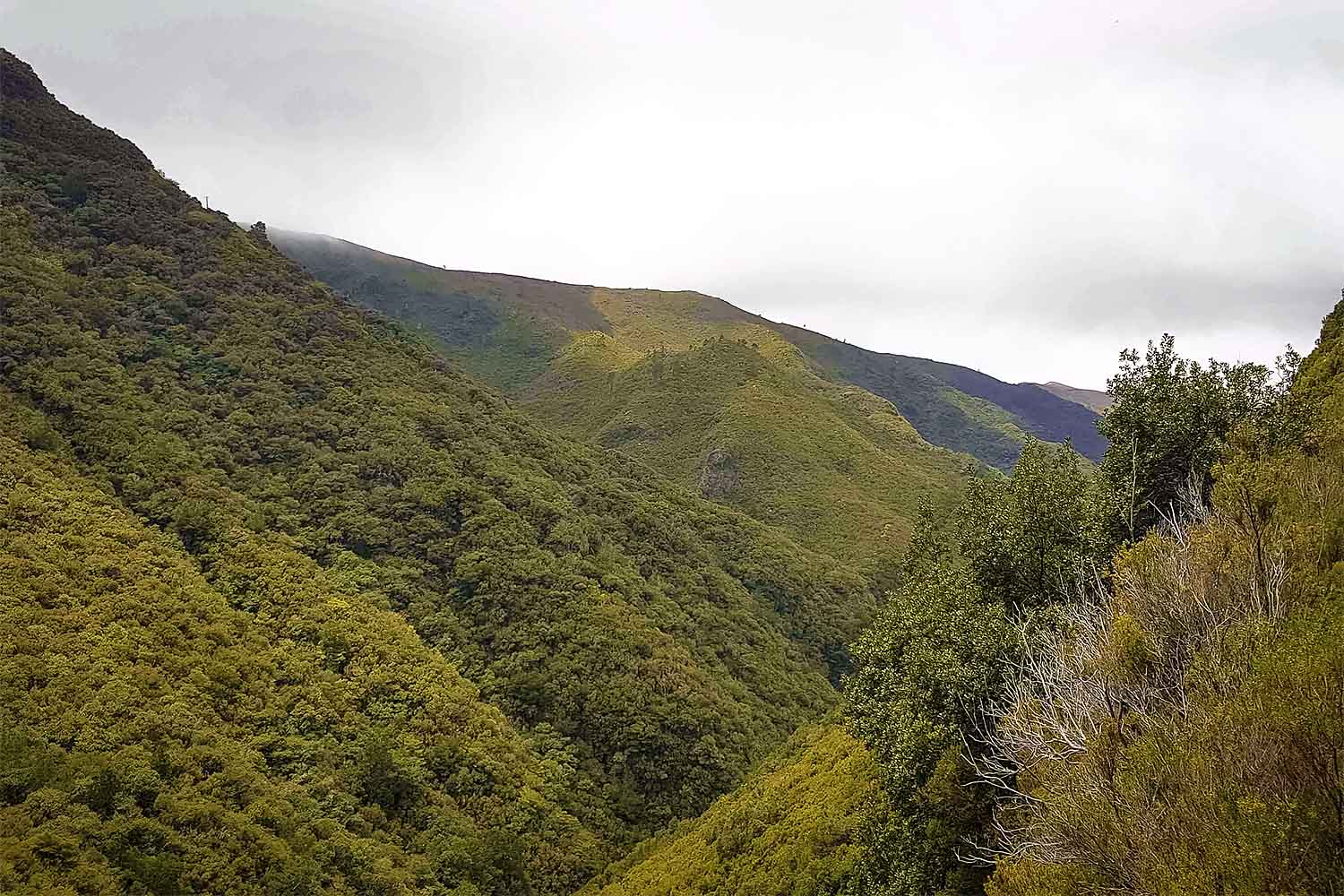 Levada 25 Fontes Walk