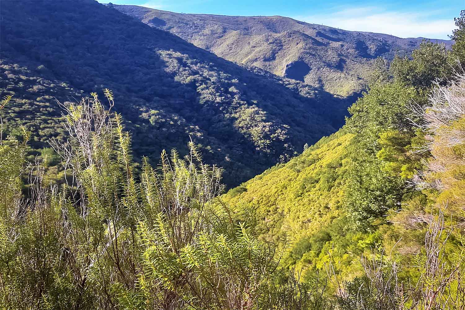 Levada 25 Fontes Walk