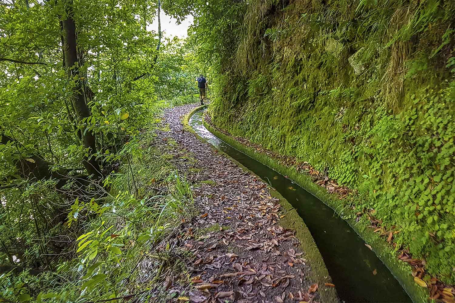 Levada Boaventura Walk