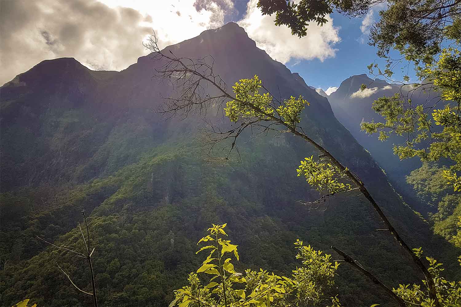 Levada Boaventura Walk