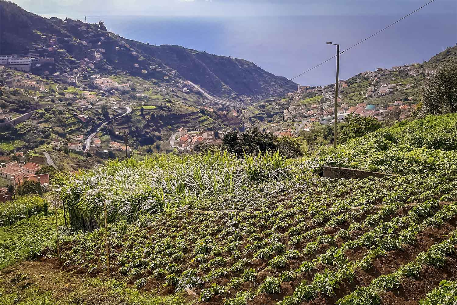 Levada Cabo Girão – Ribeira Brava Walk