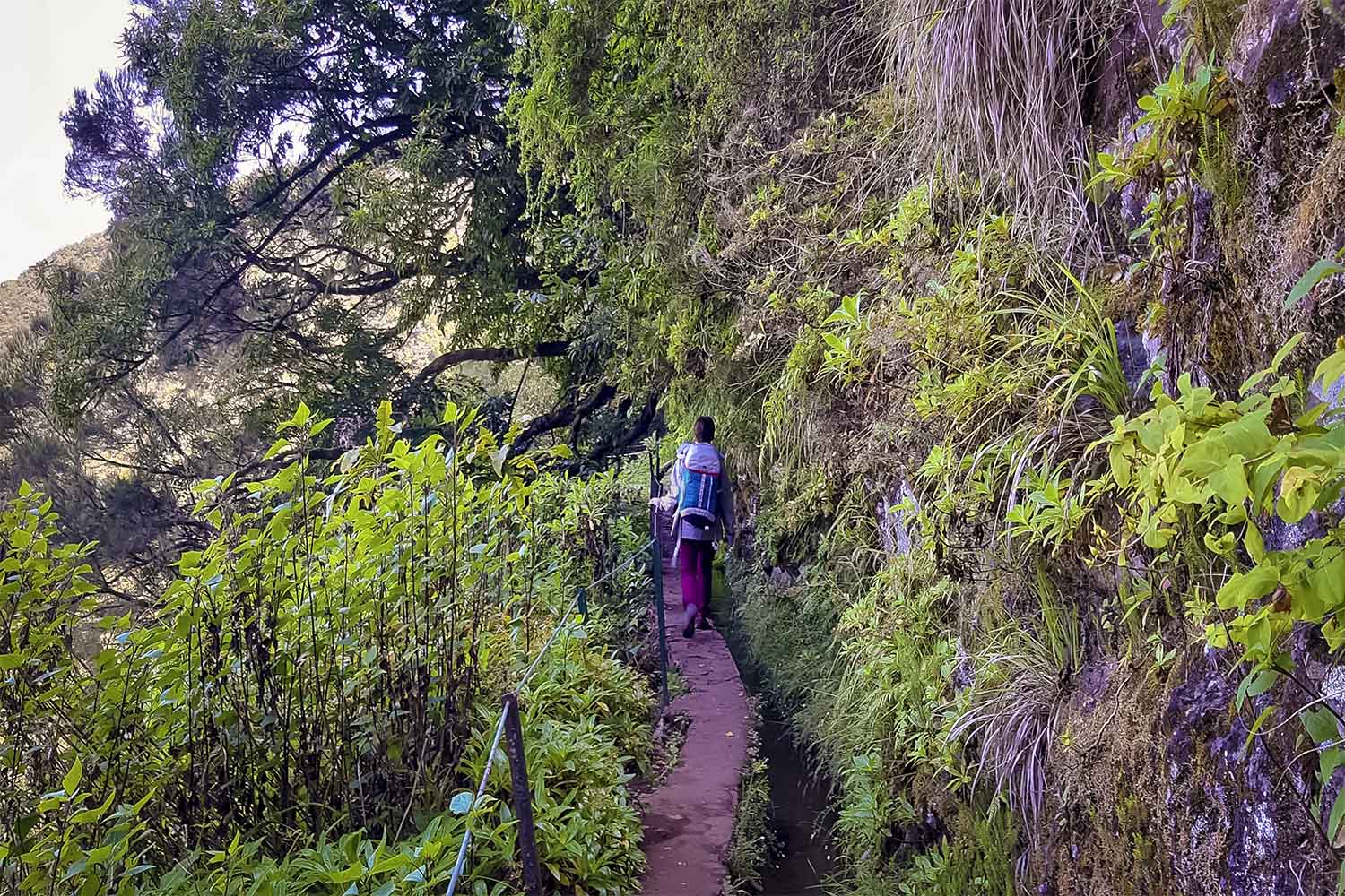 Levada Caldeirão Verde Walk