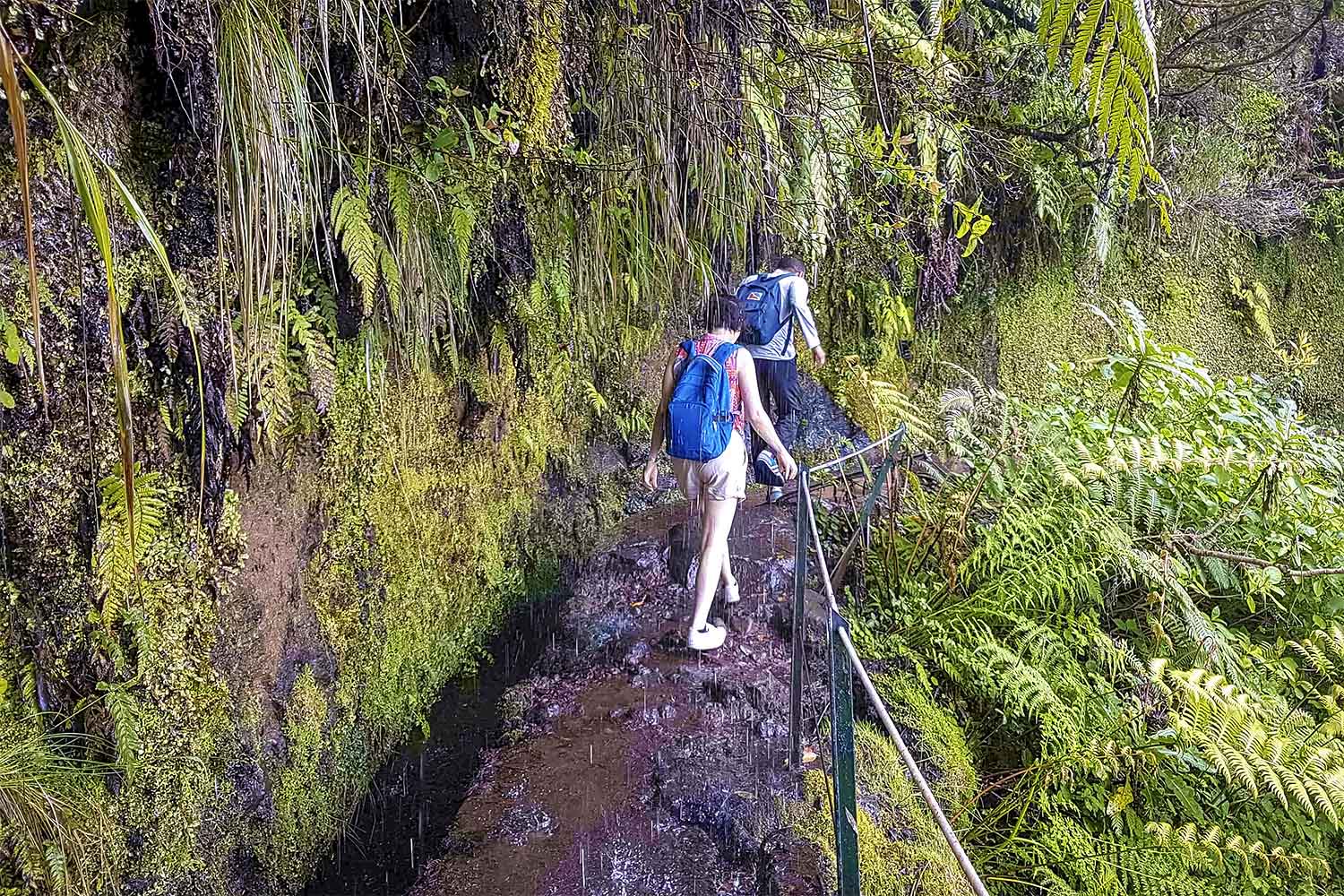 Levada Caldeirão Verde Walk