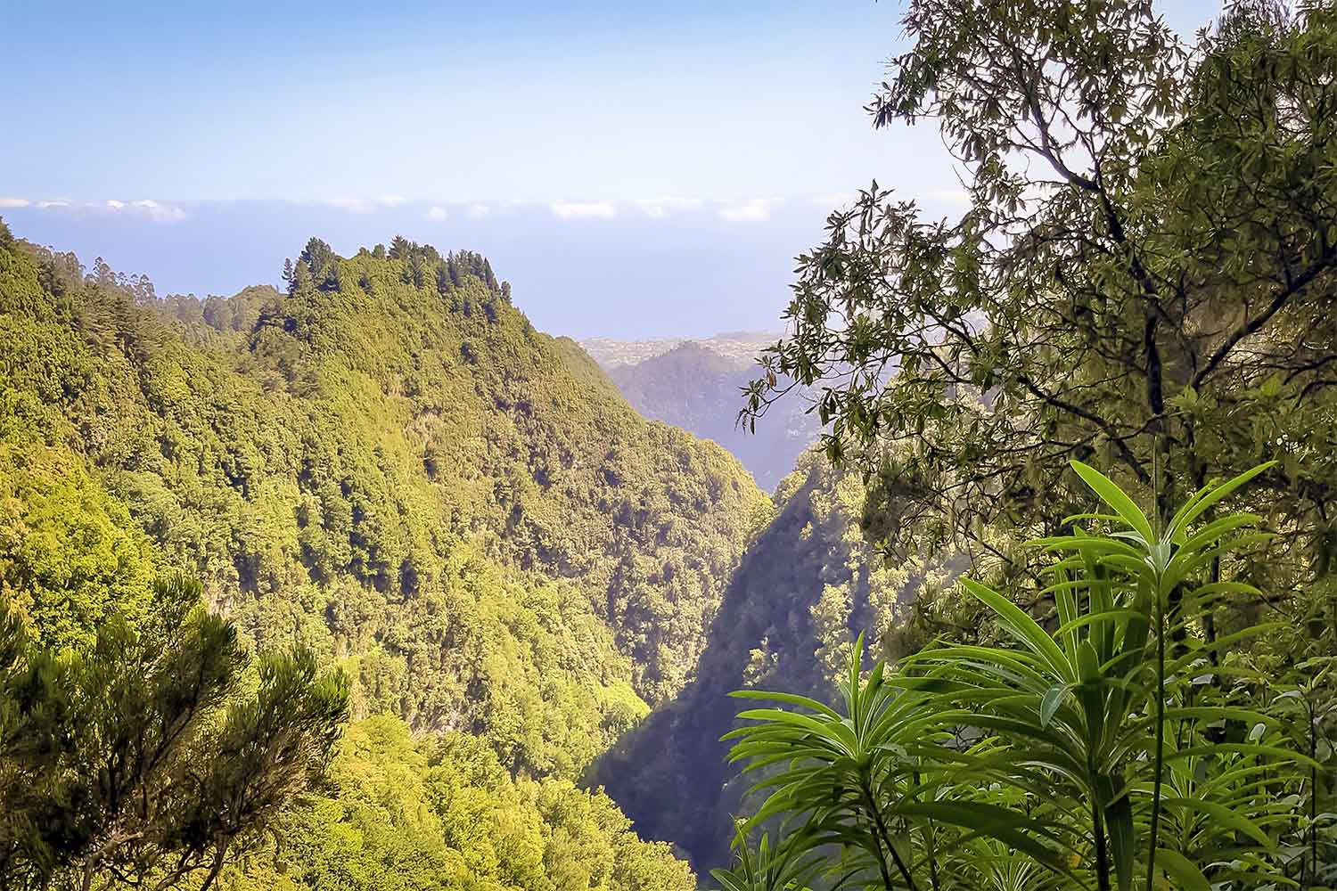 Levada Caldeirão Verde Walk